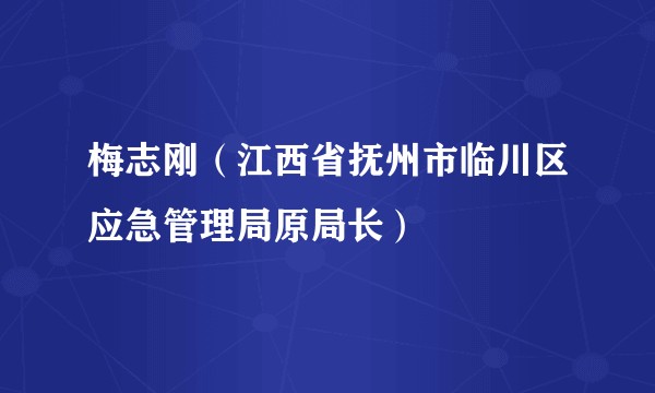 梅志刚（江西省抚州市临川区应急管理局原局长）