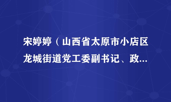 宋婷婷（山西省太原市小店区龙城街道党工委副书记、政协联络组组长）