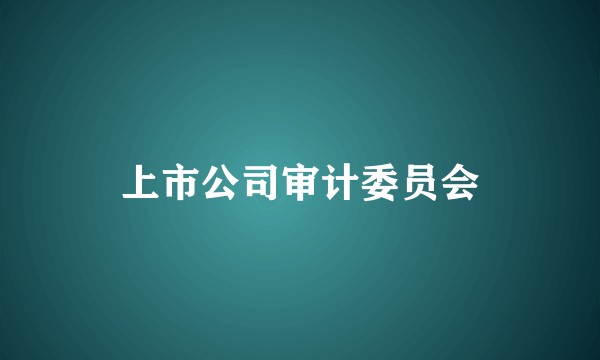 上市公司审计委员会
