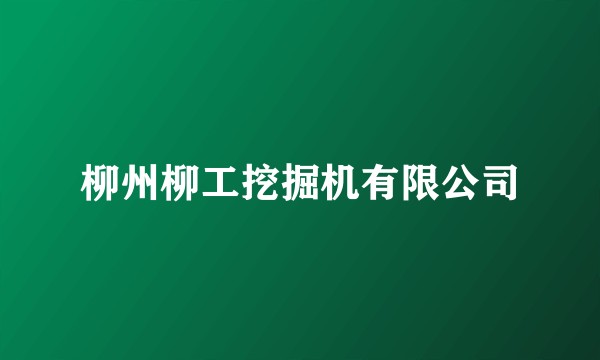 柳州柳工挖掘机有限公司