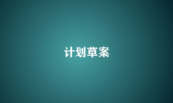 计划草案