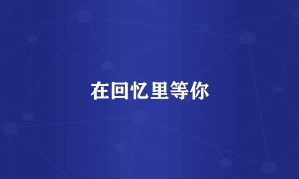 在回忆里等你