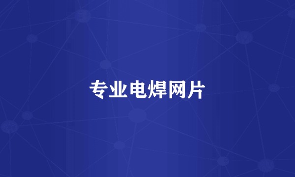 专业电焊网片
