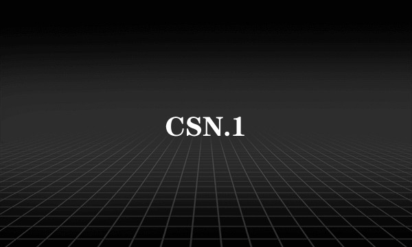 CSN.1