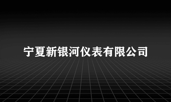 宁夏新银河仪表有限公司