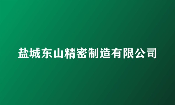 盐城东山精密制造有限公司