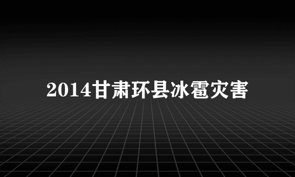 2014甘肃环县冰雹灾害