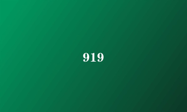 919