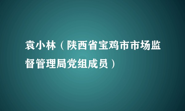 袁小林（陕西省宝鸡市市场监督管理局党组成员）