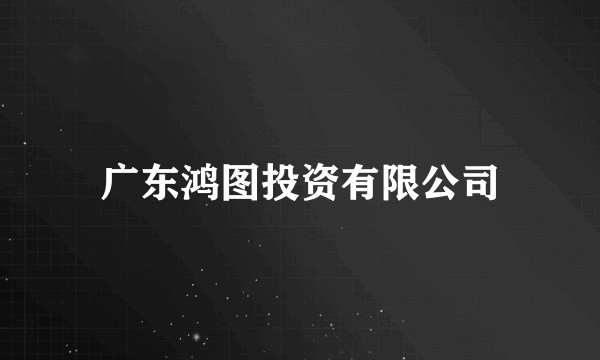 广东鸿图投资有限公司
