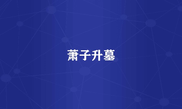 萧子升墓