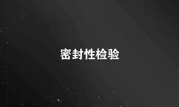 密封性检验