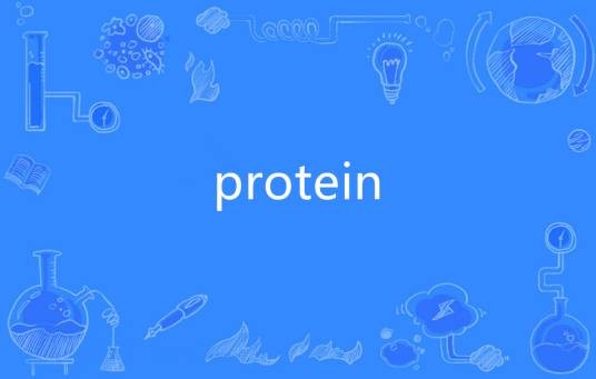 protein