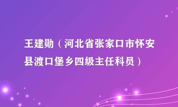 王建勋（河北省张家口市怀安县渡口堡乡四级主任科员）
