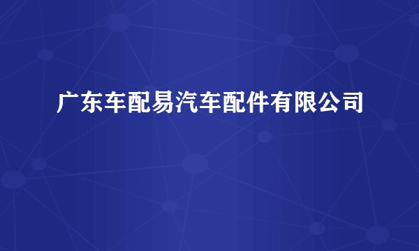 广东车配易汽车配件有限公司