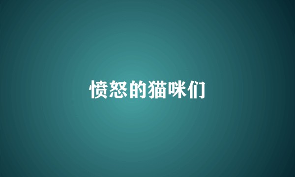 愤怒的猫咪们