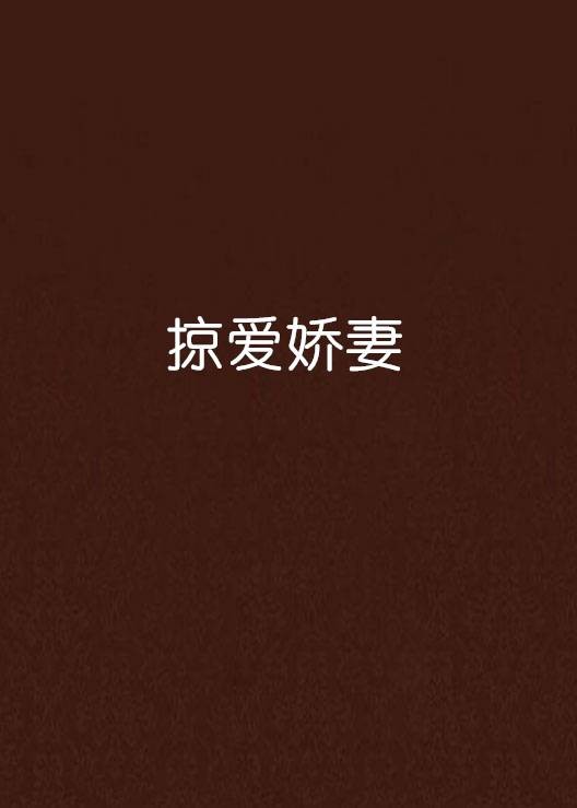掠爱娇妻