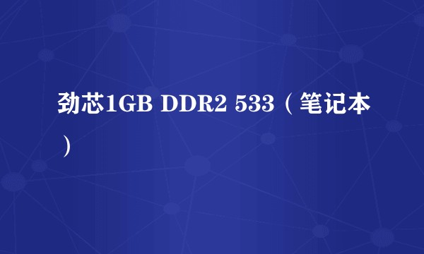 劲芯1GB DDR2 533（笔记本）