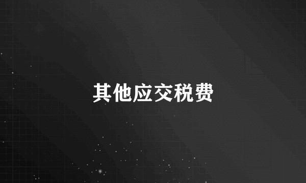 其他应交税费