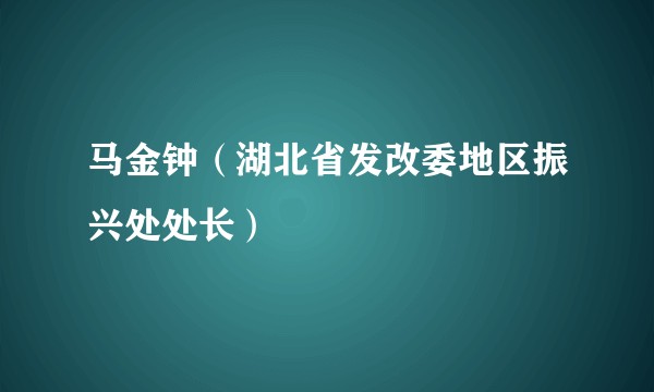 马金钟（湖北省发改委地区振兴处处长）