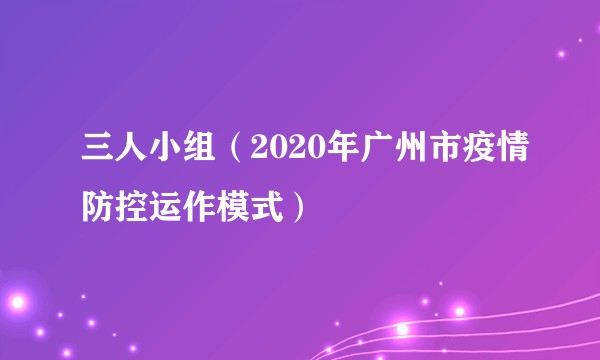 三人小组(2020年广州市疫情防控运作模式)