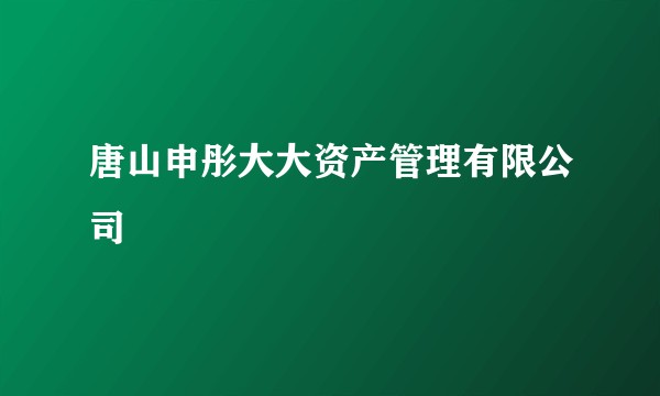 唐山申彤大大资产管理有限公司