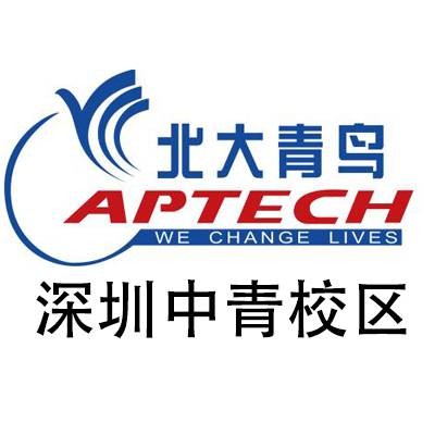 深圳北大青鸟中青学校