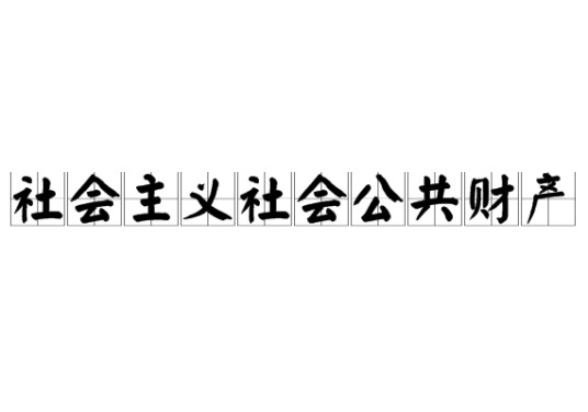 社会主义社会公共财产