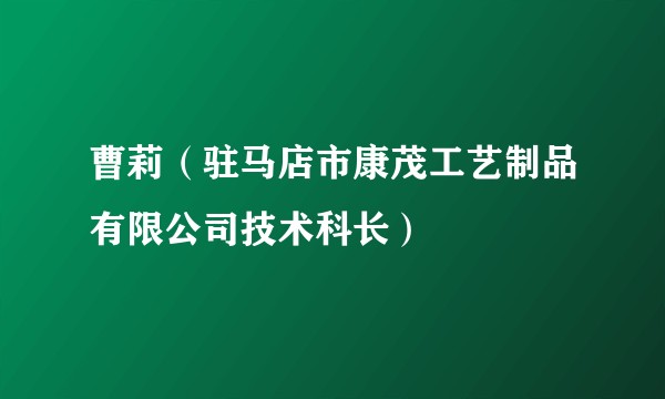 曹莉（驻马店市康茂工艺制品有限公司技术科长）
