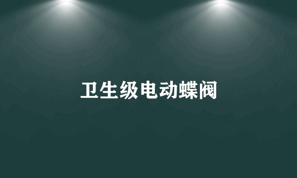 卫生级电动蝶阀