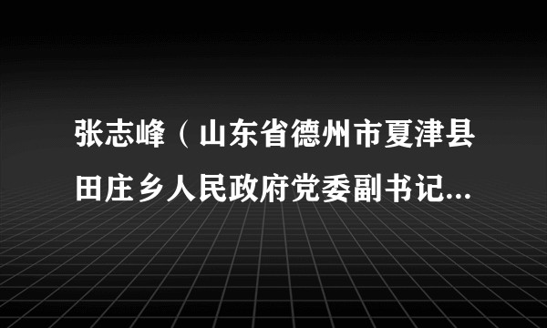 张志峰（山东省德州市夏津县田庄乡人民政府党委副书记、乡长）