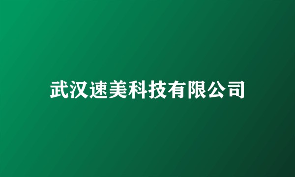 武汉速美科技有限公司