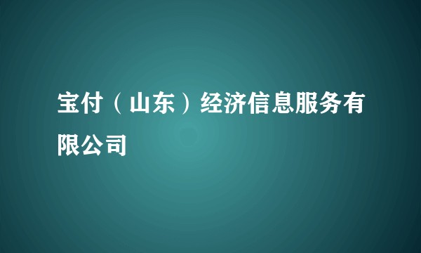 宝付（山东）经济信息服务有限公司