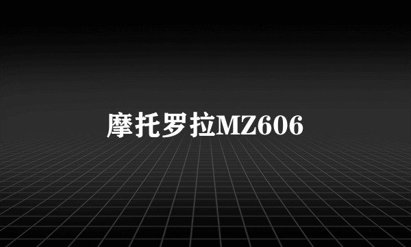 摩托罗拉MZ606