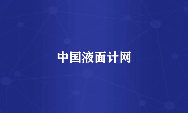 中国液面计网