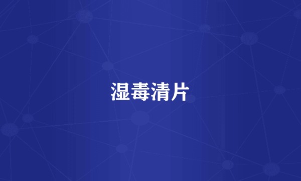 湿毒清片