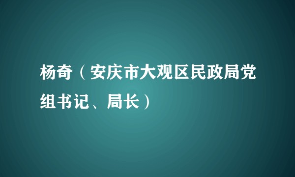 杨奇（安庆市大观区民政局党组书记、局长）