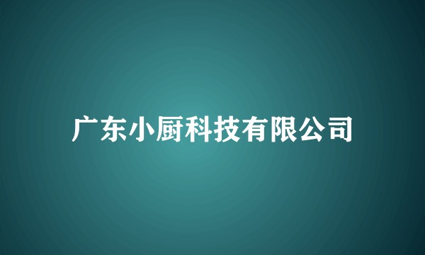 广东小厨科技有限公司
