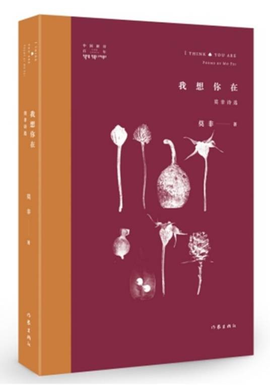 我想你在