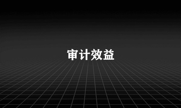 审计效益
