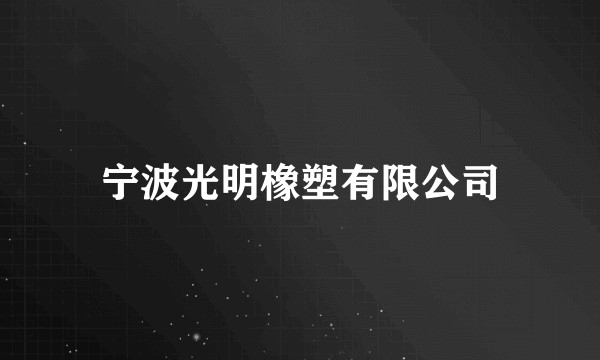 宁波光明橡塑有限公司