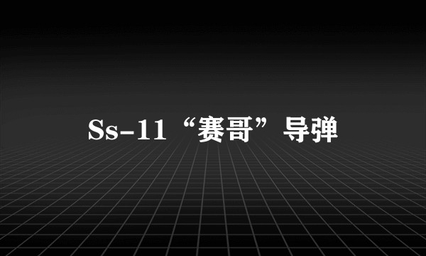 Ss-11“赛哥”导弹