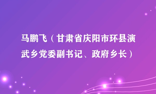 马鹏飞（甘肃省庆阳市环县演武乡党委副书记、政府乡长）