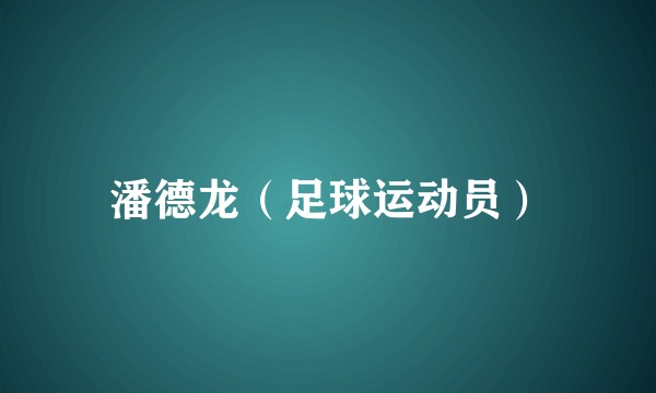 潘德龙（足球运动员）