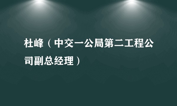 杜峰（中交一公局第二工程公司副总经理）