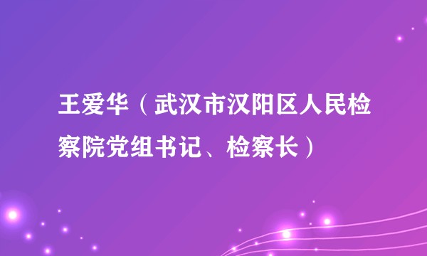 王爱华(武汉市汉阳区人民检察院党组书记、检察长)