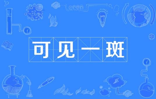 可见一斑