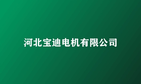 河北宝迪电机有限公司