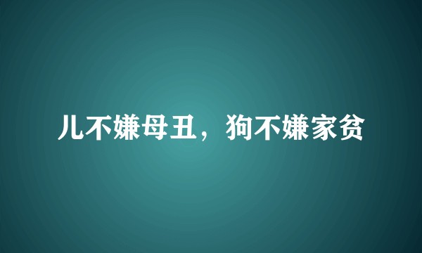 儿不嫌母丑，狗不嫌家贫