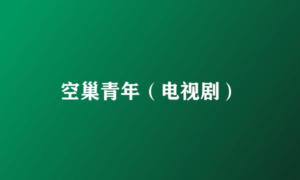 空巢青年（电视剧）